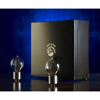 Hi-Fi systém Psvane WE205D-L Xtreme Classic Series, Matched Pair in exclusive gift boxes Balení: Pair