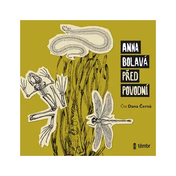 Před povodní MP3 download