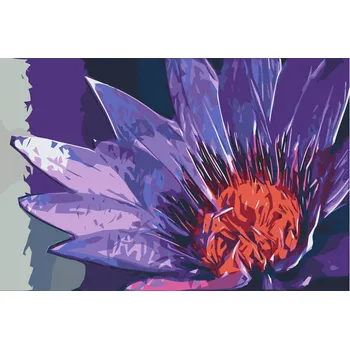 Malování podle čísel - Malovaná květina Velikost: 40x60cm, Rámování: Pouze srolované plátno