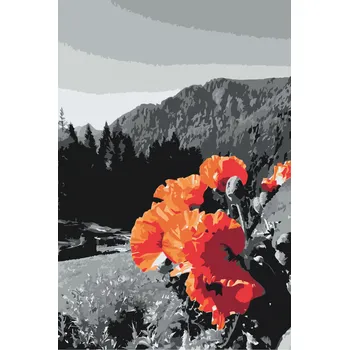 Malování podle čísel - Vlčí mák v horách Velikost: 40x60cm, Rámování: Pouze srolované plátno