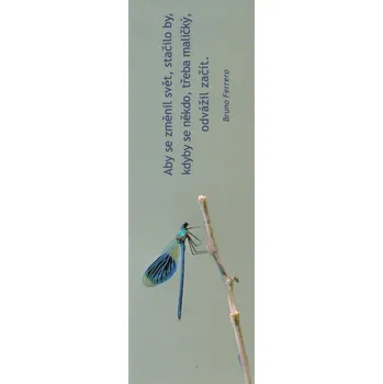 Doplněk ke knize A113 - Záložka do knihy - vážka