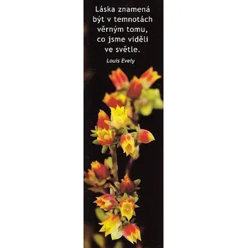 Doplněk ke knize A012 - Záložka do knihy - láska znamená