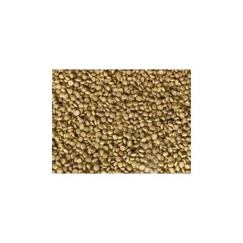 Krmivo pro rybičky Kanpai 5,0 5 kg