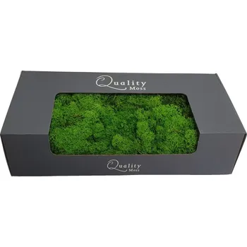 Rám na obraz Stabilizovaný Norský mech světle zelený 500g - Do interiéru