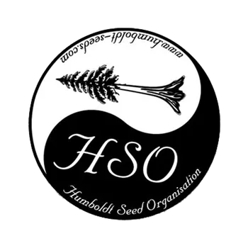 Semeno Humboldt Seeds Sour Diesel Auto (Samonakvétací, feminizovaná semena Sour Diesel auto)
