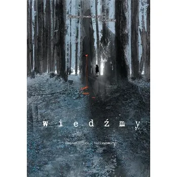 Komiks pro dospělé Wiedźmy - Scott Snyder, Jock