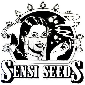Sensi Seeds Jack Flash #5 (Feminizovaná semena Jack Flash #5)