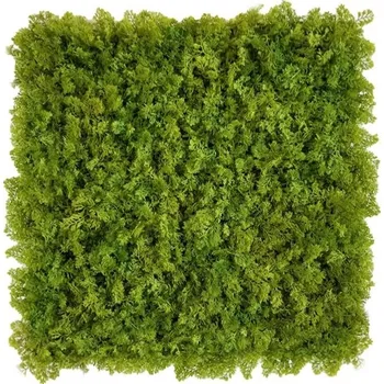 umělá květina MECH střapatý zelený - POŽÁRNÍ TŘÍDA B, dílec 50 x 50 cm (Umělý živý mech shaggy s POŽÁRNÍ TŘÍDOU B , dílec 50 x 50 cm)