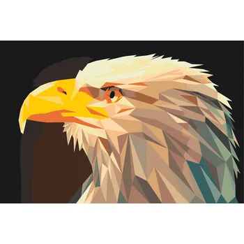 Malování podle čísel - Orel se žlutým zobákem Velikost: 40x60cm, Rámování: Pouze srolované plátno