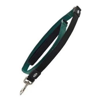 Vodítko pro psa Vodítko BUSTER Neoprene Bungee L/XL 180cm/25mm zelené