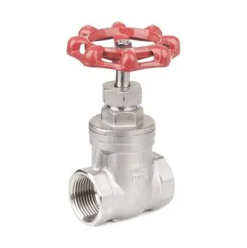 Ventil Šoupě – typ 354 – 1.4408: 3/4"