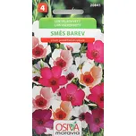 Osiva Moravia Len velkokvětý směs barev…