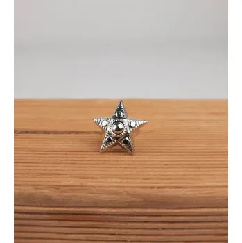 AČR Odznak Hvězda stříbrná malá 1,4mm