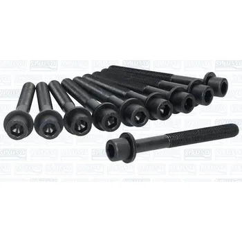 Spojovací materiál motoru Sada sroubu pro hlavy valcu, 81062900, 607340(x10), AJUSA, 81062900