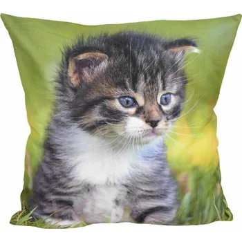 Povlak na dekorativní polštářek Fotonávlek, povlak na polštářek Roztomilé koťátko
