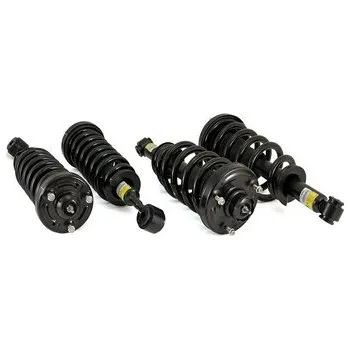 Sada dílů vinutých pružin k odpružení, AU2Z18124K, ARNOTT, C-2140