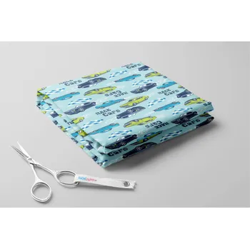 Kočárkovina, Závodní auta Barva: Světle modrá