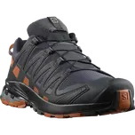 Salomon XA PRO 3D V8 GTX L41042800 46…