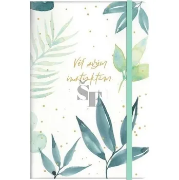 Blok Blok s gumičkou A5 linkovaný Instinkty BL8