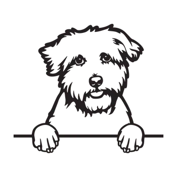 Vsepropejska Coton de Tulear 1 dřevěná dekorace na zeď Rozměr (cm): 38 x 33