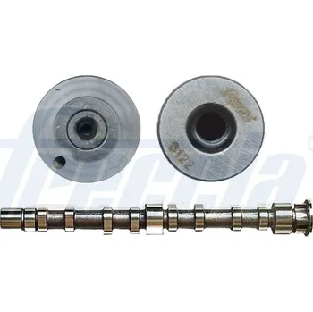 Vačková hřídel Vačkový hřídel FRECCIA CM05-2276