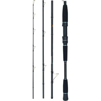 Volný čas WFT prut Seadart Special Fjord 2.10m 30-120g, 4 díl (Čtyřdílný cestovní prut pro mořský rybolov a malou transportní délkou.)