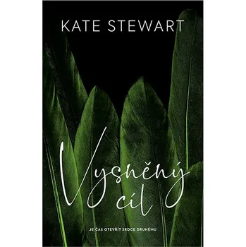 Kniha Vysněný cíl Ekniha