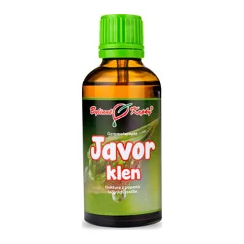 Doplněk stravy Bylinné kapky, s.r.o. Javor klen - tinktura z pupenů (gemmoterapie) 50ml