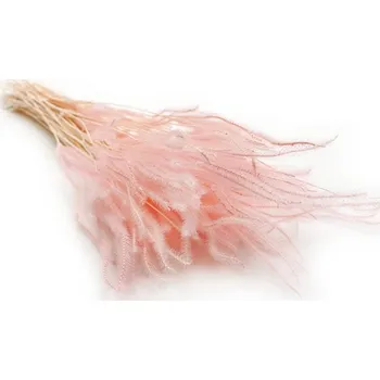 mech-mech.cz Sušené Ouro - Růžové