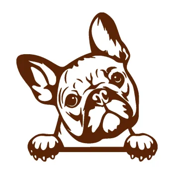 Polep vozidla Pes 184 pravá francouzský buldoček (15 - hnědá) SAMOLEPKA NA AUTO, NÁLEPKA, FÓLIE, POLEP, TUNING, VLASTNÍ TEXT, TISK, AUTOSAMOLEPKY.cz, POLEPY, OBRÁZEK, LOGO, 3D STICKERS