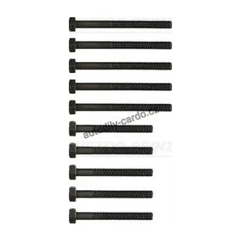 Těsnění motoru Sada šroubů pro hlavy válcu VICTOR REINZ (VR 14-32035-01)