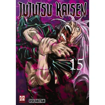 Komiks pro dospělé Jujutsu Kaisen - Band 15 - Akutami, Gege