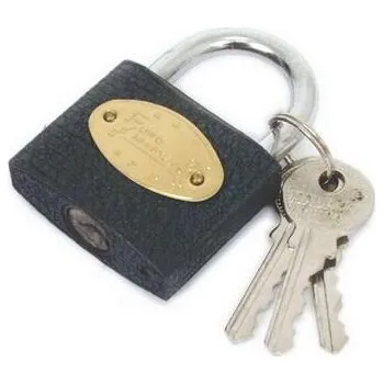 Zámek na kolo Top Strong Zámek železný 20mm TS - TM-500501