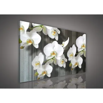 Obraz Postershop Obraz na plátne: Bílé orchideje (3) - 75x100 cm