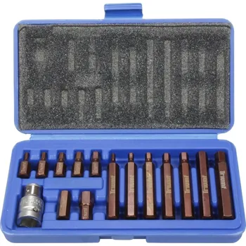 Bit Triumf bity 10 mm, Inbus 4 - 12 mm, sada 15 dílů, TRIUMF - 100-00289-1