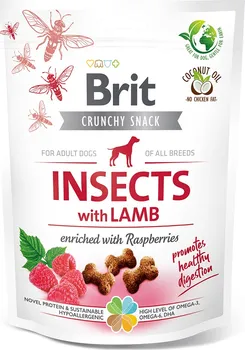 Pamlsek pro psa Brit Crunchy Snack Insects with Lamb Enriched with Raspberries 200 g