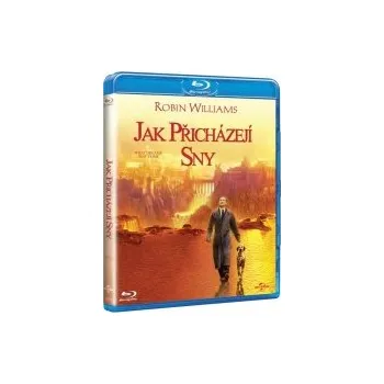 Blu-ray film Jak přicházejí sny / What Dreams May Come - Blu-Ray