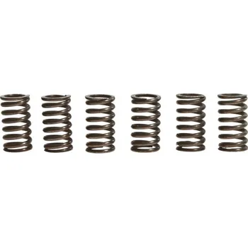Sada spojkových pružin MR3 SUZUKI RM 125 rok 96-00