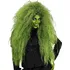 Karnevalová paruka WIDMANN Čarodějnická paruka zelená