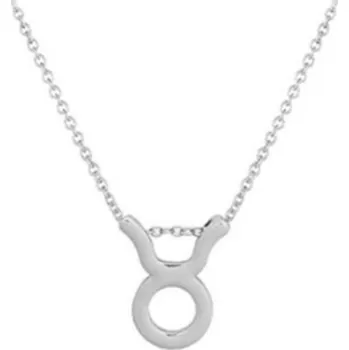 Náhrdelník Stříbrný náhrdelník se znamením BÝK