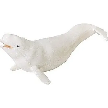 SAFARI 211002 BĚLUHA SEVERNÍ