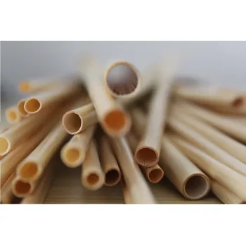 Say straw Brčko z rákosu 20 cm - 1000 ks Barevný: Bílá