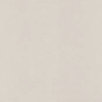 Tapeta Vliesová tapeta 688047 jednobarevná šedá, stříbrná / Tapety na zeď Tropical House (0,53 x 10,05 m) Rasch