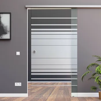 Interiérové dveře Amod Calimero skleněné posuvné dveře 1025x2050 mm s mušlí