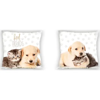Dekorativní polštářek Faro | Povlak na polštářek Best Friends Kotě a štěně FR014 40x40 cm, 100% bavlna