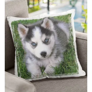 Dekorativní polštářek Polštář Pes 12 38 x 38 cm