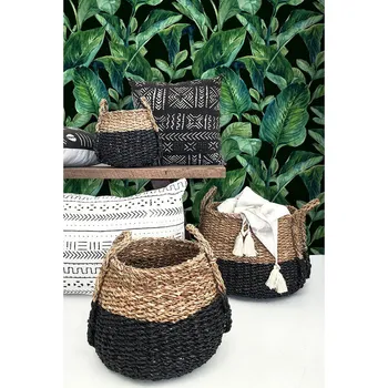 Tapeta Coloray Fototapeta Noc v okouzlujícím lese Samolepící Fototapeta Vliesová 250 x 250 cm coloraydecor-f-ss-326479865