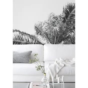 Tapeta Coloray Fototapeta Roste zde palma? Samolepící Fototapeta Vliesová 250 x 250 cm coloraydecor-f-ss-783087781-modyfikacja