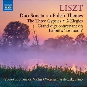 Zahraniční hudba CD Franz Liszt: Duo Sonata On Polish Themes / The Three Gypsies / 2 Elegies / Grand Duo Concertant On Lafont's 'Le Marin' 2015