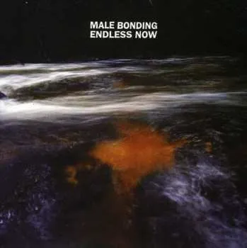 Zahraniční hudba CD Male Bonding: Endless Now 2016